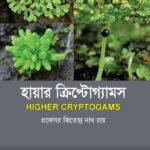 হায়ার ক্রিপ্টোগ্যামস (Higher Cryptogams)