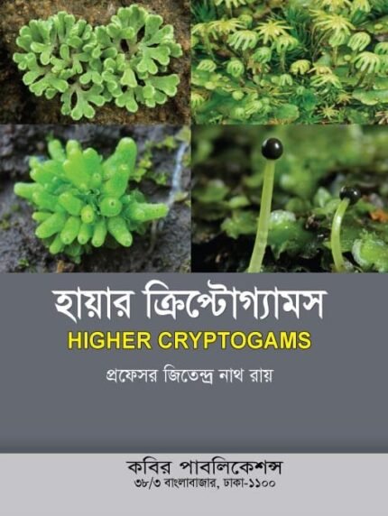 হায়ার ক্রিপ্টোগ্যামস (Higher Cryptogams)