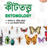 কীটতত্ত্ব (Entomology)